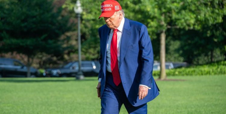 Trump