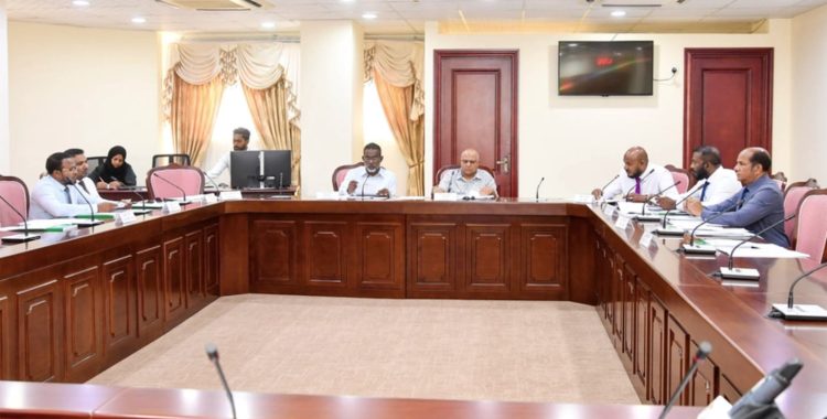 Majilis committee