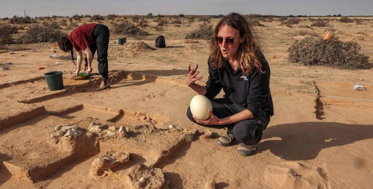 Lauren Davis, excavation manager of the southern district at the Israel Antiquities Authority (IAA), shows a fresh ostrich egg used for illustration next to older egg fragments dating over 4000 years old next to an ancient fire pit in the western Negev desert on Thursday. — AFP